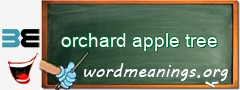 WordMeaning blackboard for orchard apple tree